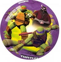 Vista previa: Bola de plástico Tortugas Ninja 23cm
