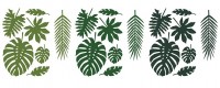 21 feuilles de palmier tropicales en 7 formes