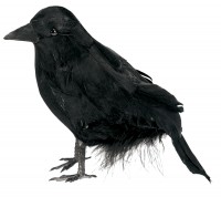 Mystiska Graveyard Raven