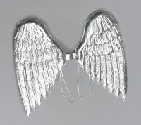 Élégantes ailes d'ange en argent