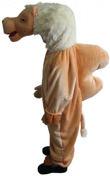 Desert camel child costume