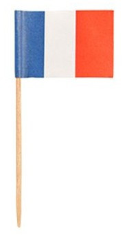 500 pics drapeaux France 8 cm