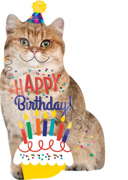 Ballon aluminium Happy Birthday Cat