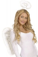 Voorvertoning: Glinsterende engelenvleugels 50x40cm