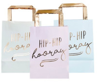 Preview: 5 Hip Hip Hooray gift bags pastel 26cm