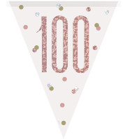 Cadena de banderines Happy 100th oro rosa
