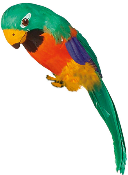 Colorful parrot dummy