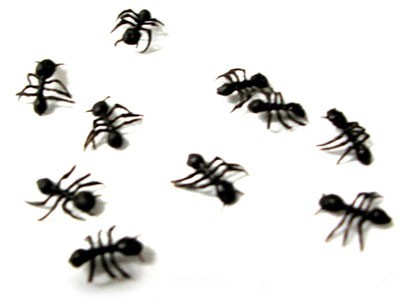 10 läskiga myror för dekoration