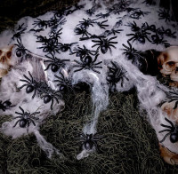 Widok: Konfetti szalone pająki 60 sztuk