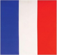 Vorschau: Frankreich Fan Bandana