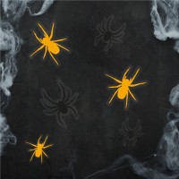 Förhandsgranskning: Spindlar fönsterdekal Webmaster