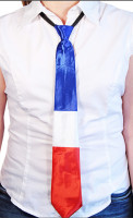 Vorschau: Niederlande Fan Krawatte