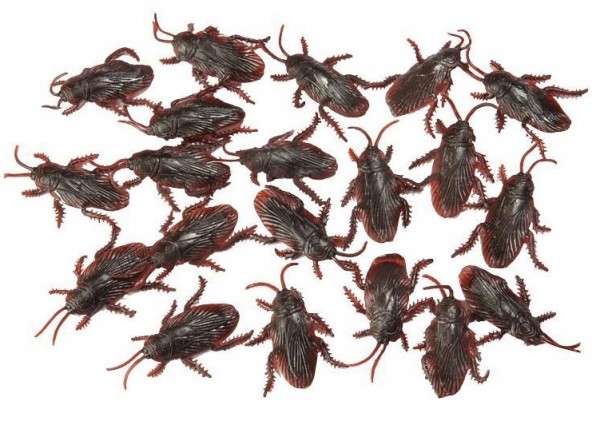 20 crawling killer cockroaches