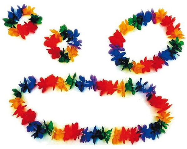 Ensemble de 4 colliers Hawaii colorés