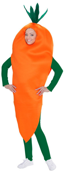 Zanahoria disfraz zanahoria
