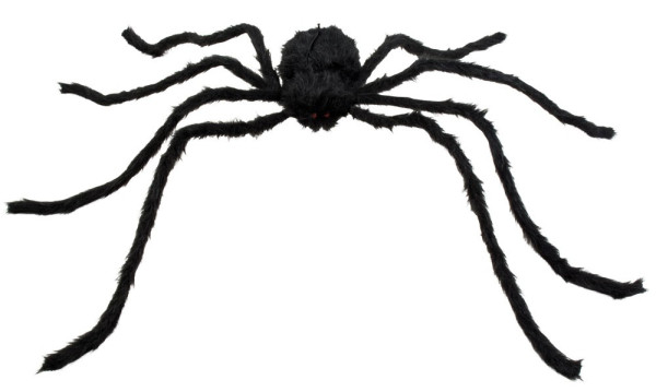 Araña aterradora de patas largas con ojos rojos
