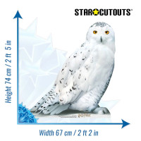 Oversigt: Ugle Hedwig papudskæring 74cm