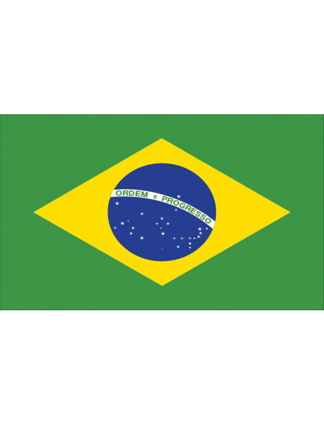 Brasilien Fan Flagge 90 x 150cm