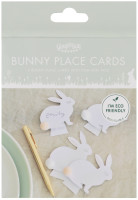 Vista previa: 6 tarjetas de lugar del conejito de los sueños de Pascua
