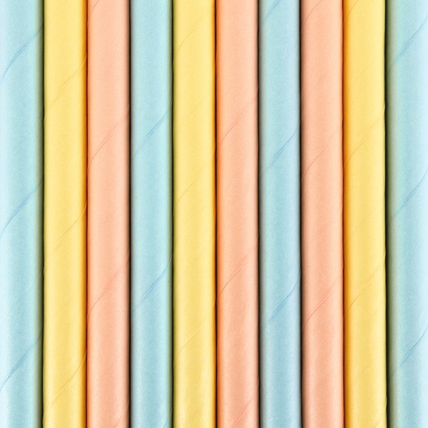 10 Summers Tale straws 19.5cm