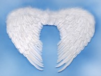 Voorvertoning: Engelenvleugels Lisa wit 76 x 55cm
