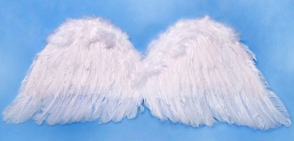 Archangel Gabriel wings 75x30cm