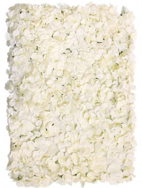Crèmekleurige hortensia bloemenwand 40 x 60cm