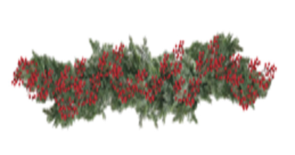 Christmas garland with red berries