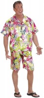 Preview: Exciting Hawaii men's costume