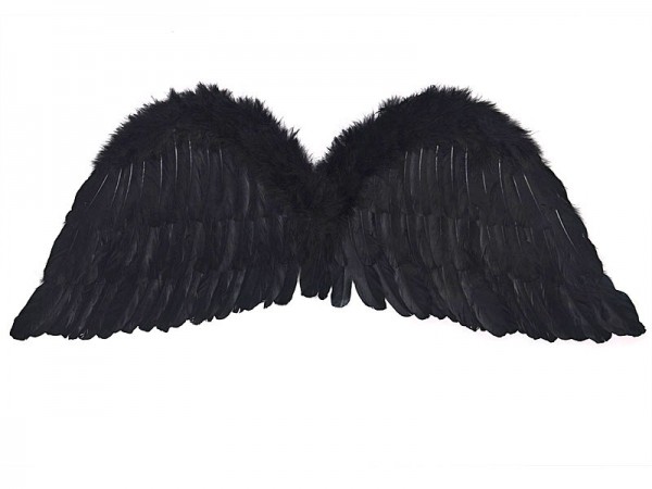 Black angel wings Merle