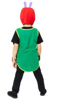 The very hungry caterpillar costume for children