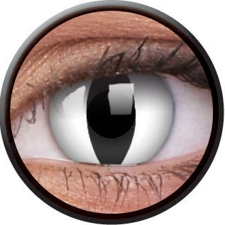Kontaktlinsen Horror-Schlange Weiß