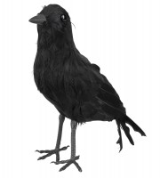 Preview: Ravens Castle Halloween Crow