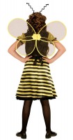Preview: Happy queen bee child costume