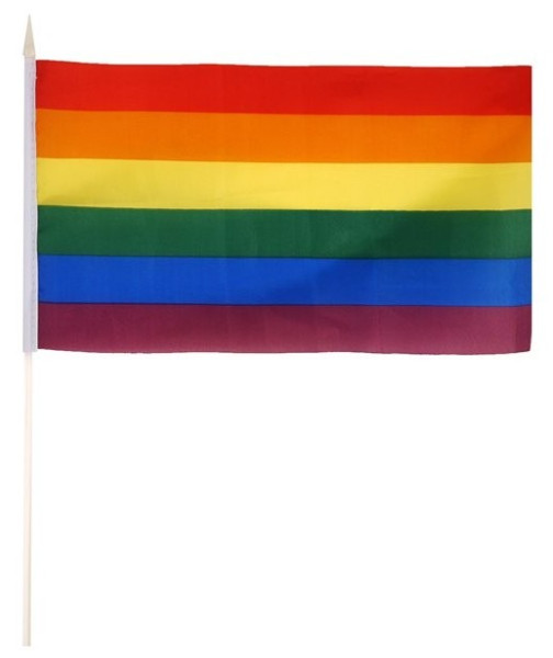 Regnbågsflagga Pride 29 x 17cm