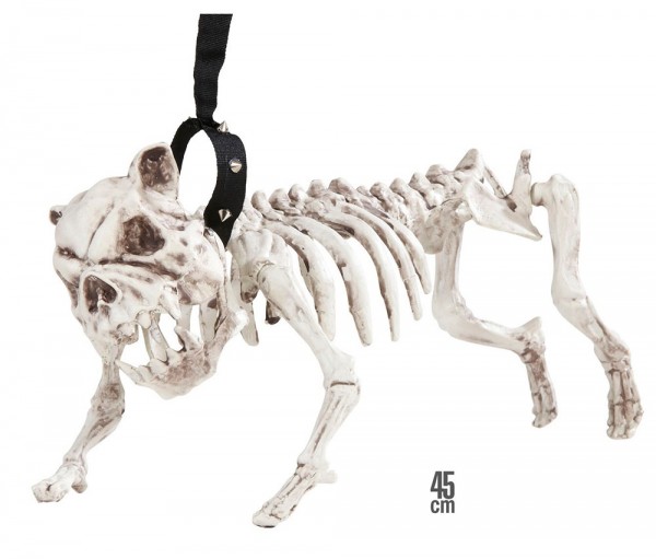 Esqueleto de perro Halloween 45cm