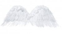 Preview: Archangel Gabriel wings 75x30cm