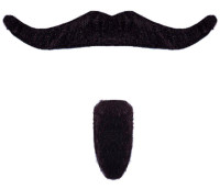 Moustache & barbiche noir