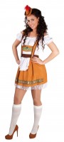 Anteprima: Dirndl Rosi Traditional Dress Brown