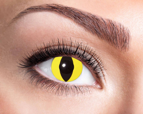 Yellow eye contact lens 3 monthly lenses